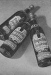 Dujardin 1951.jpg